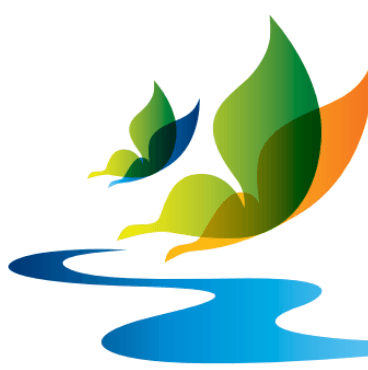 Logo 4